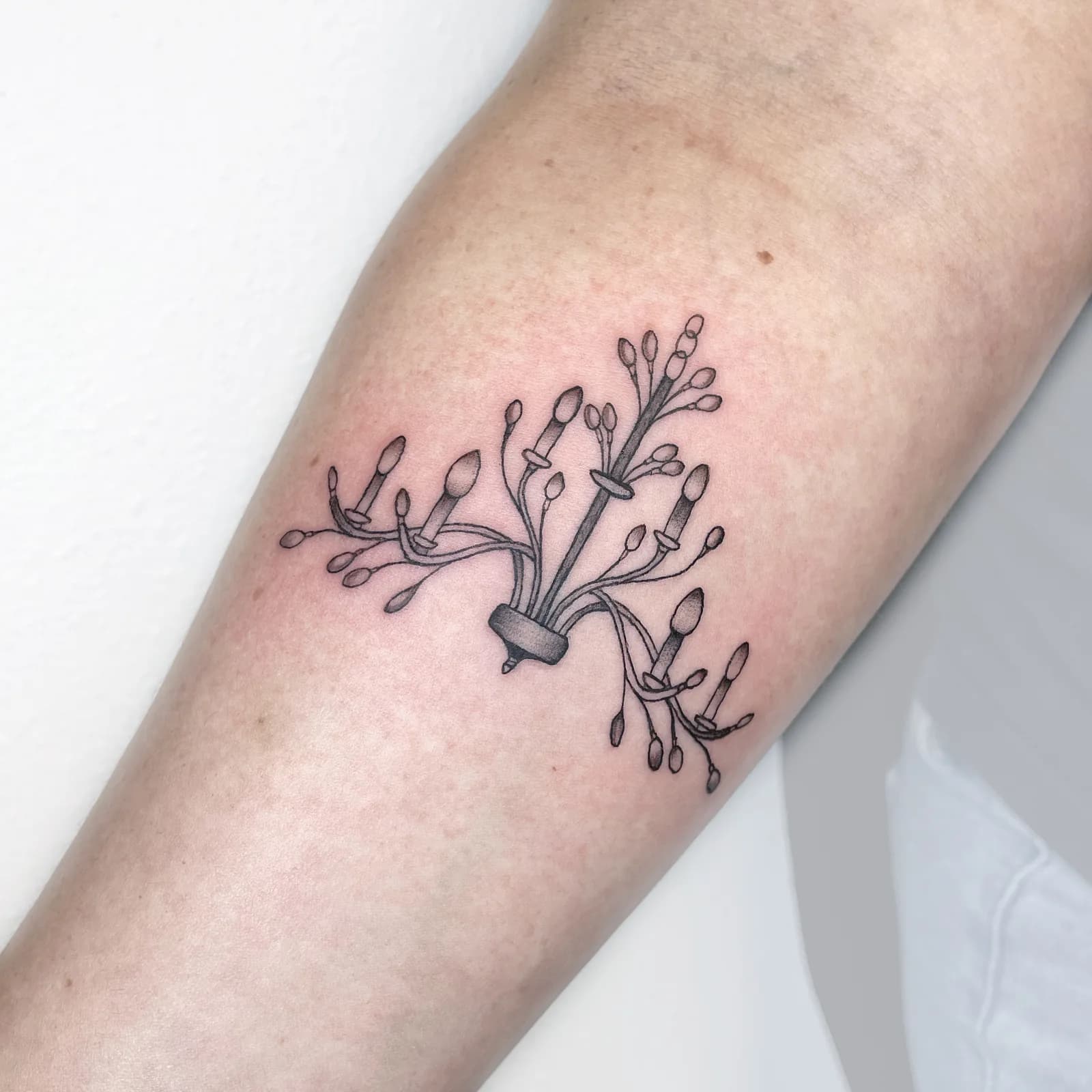 Small botanical candelabra tattoo by Nika Osseili.