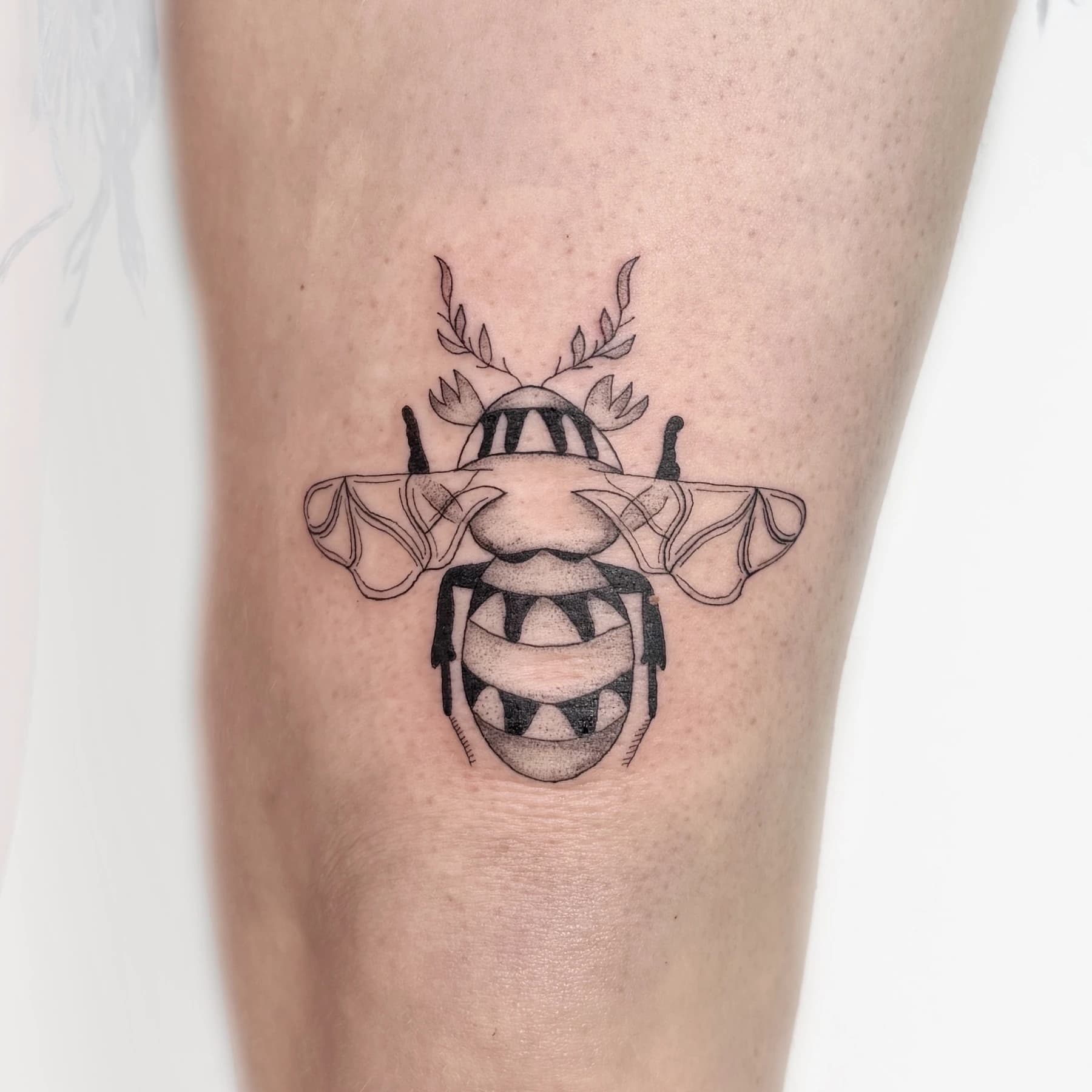Fine line ornamental beetle tattoo near the knee by Nika Osseili.